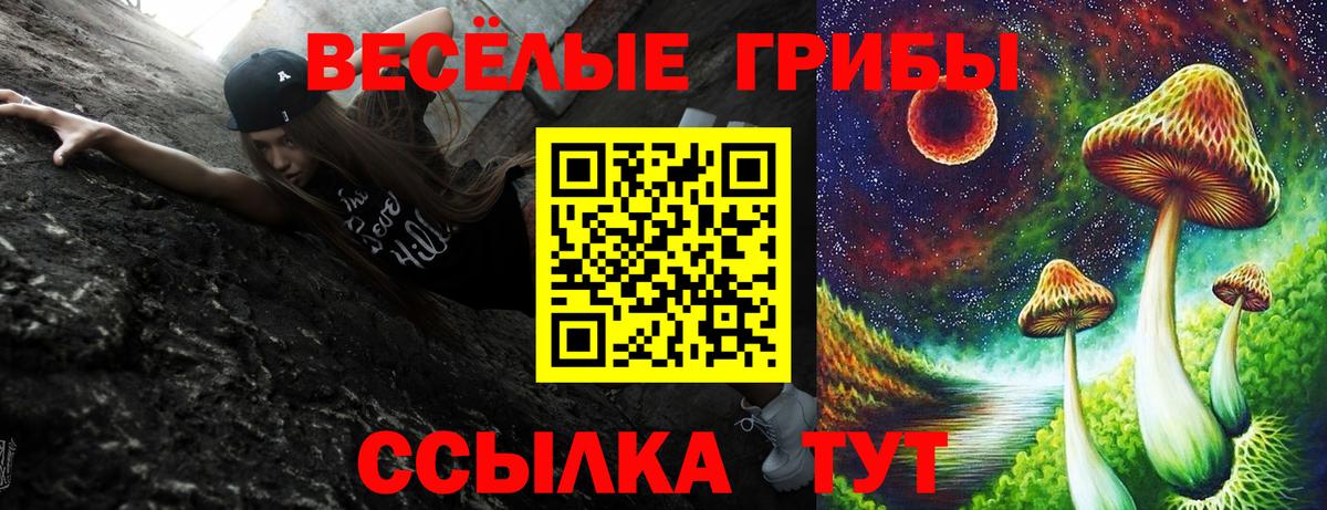 купить закладку  Вход с VPN  Людиново  Псилоцибиновые грибы Cubensis 