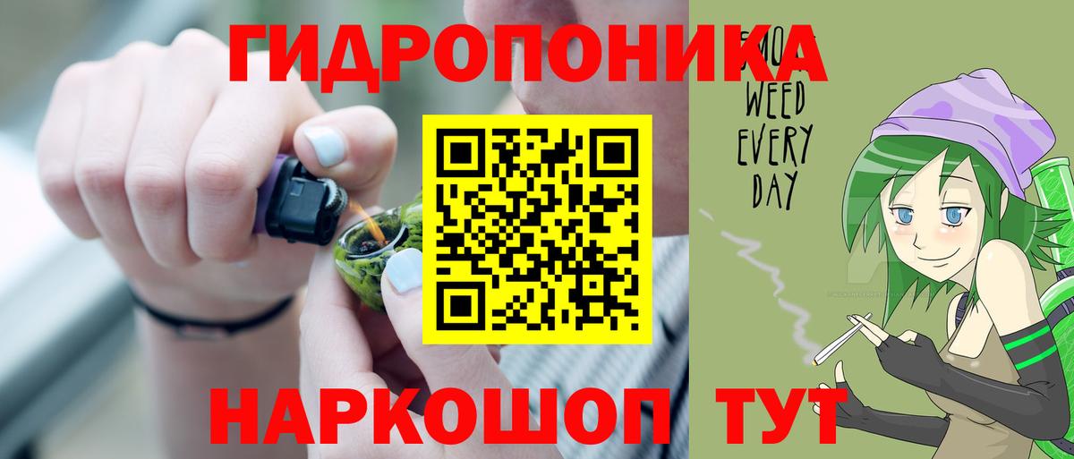 Бошки Шишки марихуана  МАРИХУАНА тримм  Людиново  Вход с VPN  Канабис OG Kush 